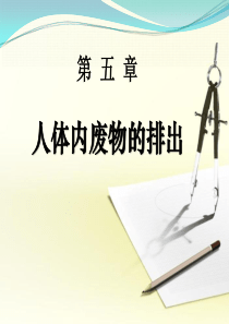 《人体内废物的排出》PPT精选教学优质课件5