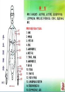 十二经络图解