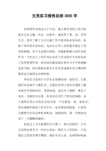 文员实习报告总结3000字