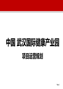 武汉国际健康产业园项目运营规划前期策划