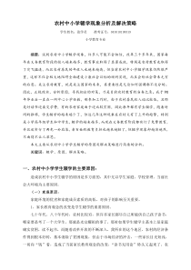 农村中小学辍学现象分析及解决策略