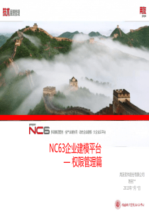 NC63企业建模平台-权限管理