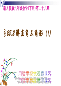 数学九年级下人教新课标28.2.1解直角三角形1课件