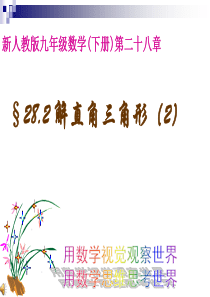 数学九年级下人教新课标28.2解直角三角形2课件