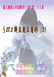 数学九年级下人教新课标28.2解直角三角形3课件