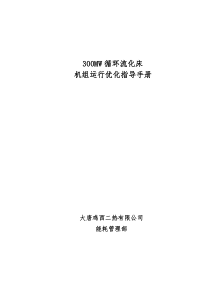 300MW循环流化床机组运行优化指导手册