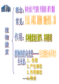 浙教版八年级上册科学3.2人体的激素调节(45张-ppt)