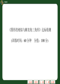 中考数学复习专题  图形的相似与解直角三角形