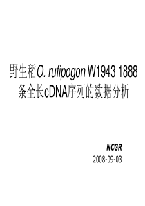 野生稻OrufipogonW1943cDNA克隆资源的