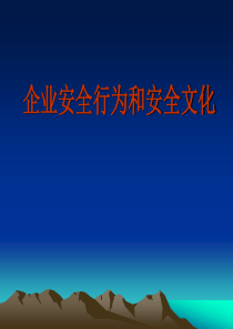 企业安全行为和安全文化