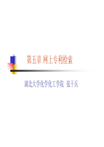 第五章 网上专利检索