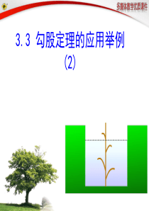 3.3 勾股定理的应用举例(2)