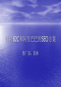 针对B2C和阿里巴巴的SEO方案