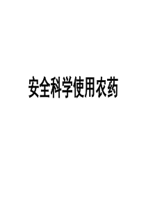 安全科学使用农药(文字)