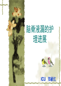 脑脊液漏护理