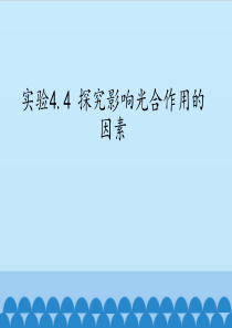 沪科版高中生命科学第一册：实验4.4-探究影响光合作用的因素-课件1