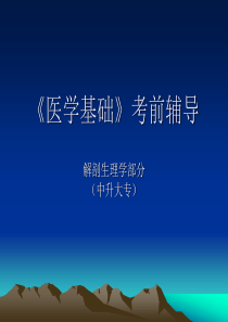 医学基础(专)解剖生理