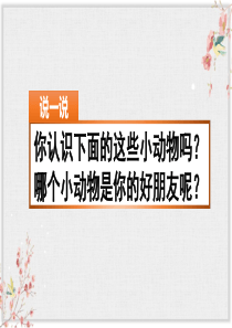 部编版四年级语文下册习作：我的动物朋友课件