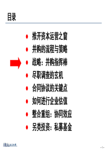 -2企业并购重组实务(MBA)-崔凯