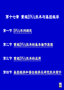 17-DNA重组技术