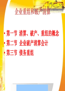 359713--企业重组和破产清算--资本123