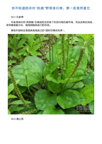 你不知道的农村“抗癌”野菜排行榜：第一名竟然是它