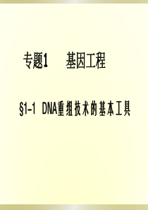 11DNA重组技术基本工具