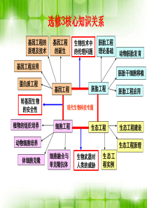 11DNA重组技术的基本工具用