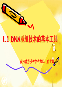 11DNA重组技术的基本工具陕西省柞水中学索文斌