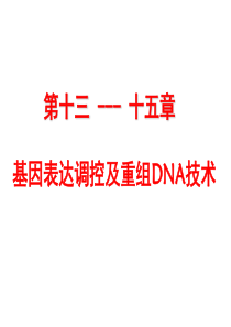 13-基因表达调控与重组DNA技术