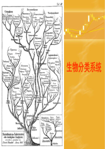 生物分类系统