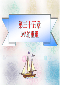 14DNA的复制、修复和重组