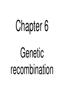 1分子生物学第六章-基因重组