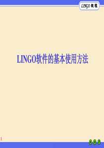 LINGO教程(基本语法)