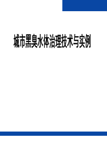 城市黑臭水体治理技术与实例