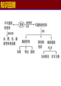 231基因突变和基因重组