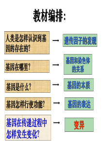 251基因突变和基因重组