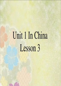 Unit 1 In China Lesson 3 课件 3