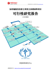 如何编制发改委立项用立体绣面料项目可行性研究报告(立项+贷款版)