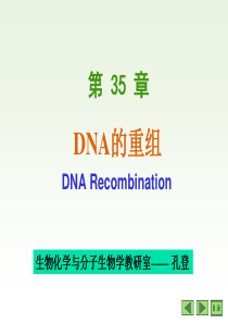 35-DNA的重组