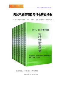 天然气勘探项目可行性研究报告(专业经典案例)