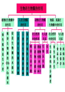 初高中生物知识点构架图