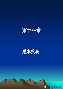 11成本报表