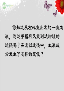 广东省仁化县周田中学七年级生物下册 第九章 人体内的物质运输 第二节 血液循环(第二课时)课件 北师