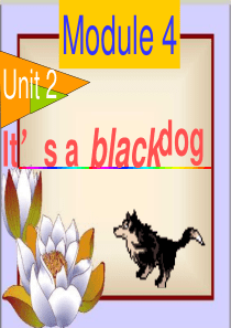 三年级上册its_a_black_dog2