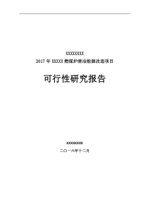 燃煤炉清洁能源项目可行性研究报告