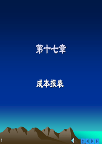 17 成本报表