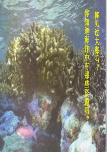 第一节海洋化学资源课件