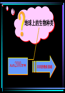 第一节组成生物体的化学元素 第二节组成生物体的化合物 课件