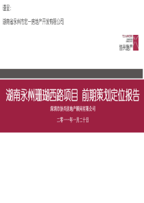 01湖南永州珊瑚西路项目前期策划定位报告261P